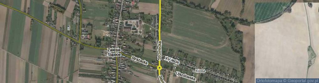 Zdjęcie satelitarne Strzelecka ul.